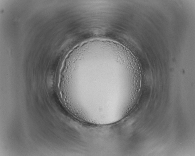 X0000073730032200608031341