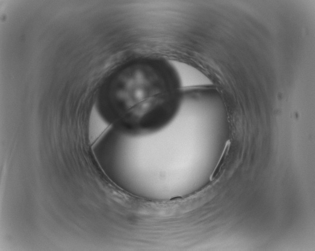 X0000073730033200608031341