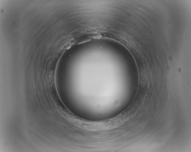 X0000073730034200608031341