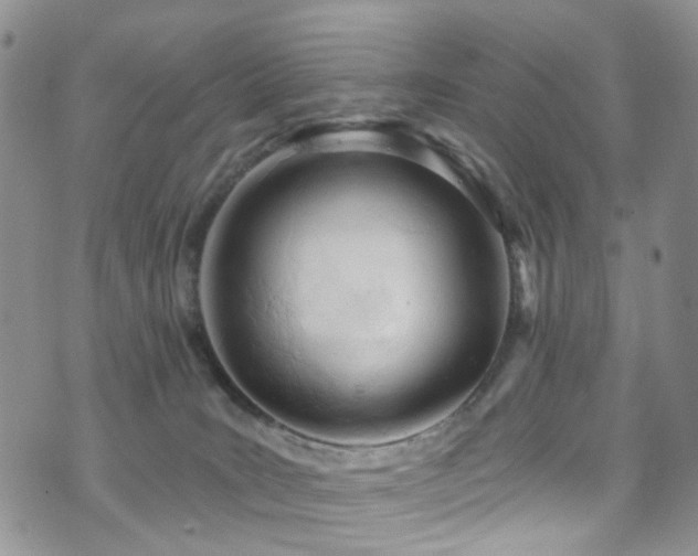 X0000073730035200608031341