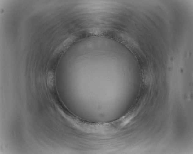 X0000073730036200608031340