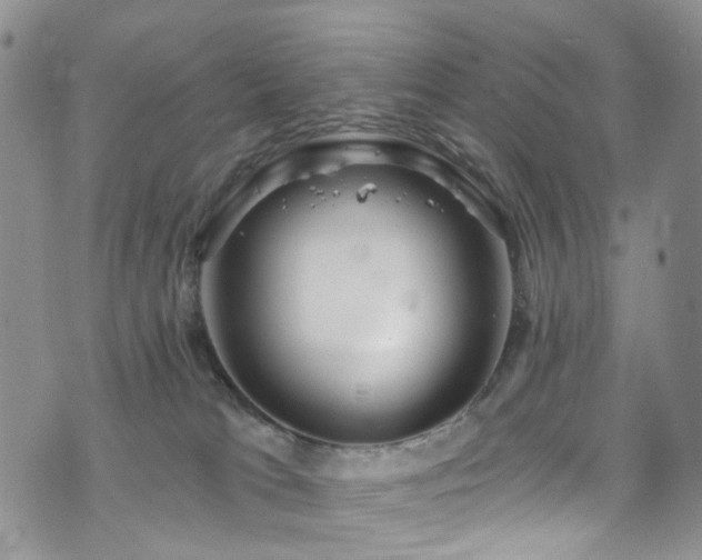 X0000073730037200608031340