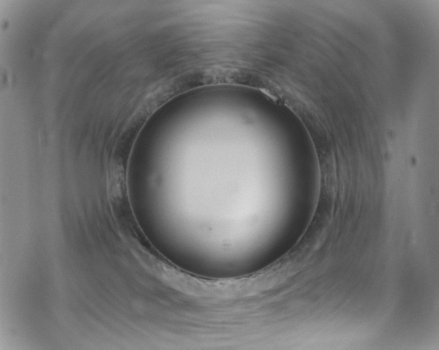 X0000073730038200608031340