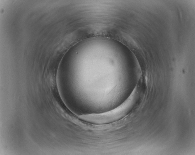 X0000073730039200608031340