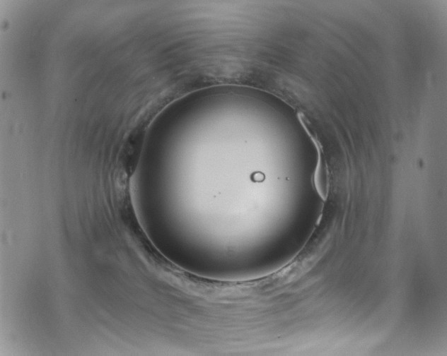 X0000073730040200608031340