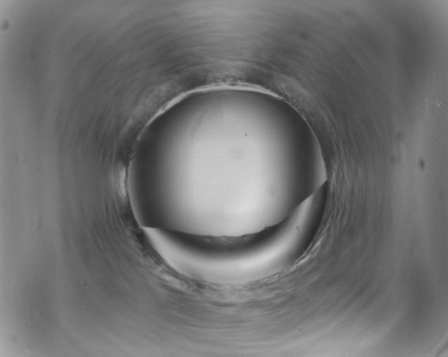 X0000073730041200608031340