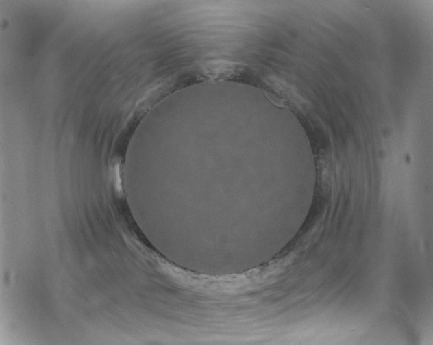 X0000073730042200608031340