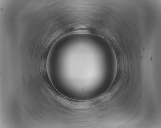 X0000073730044200608031340