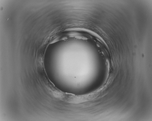 X0000073730045200608031340