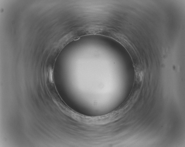 X0000073730046200608031340