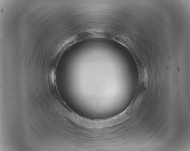 X0000073730047200608031340