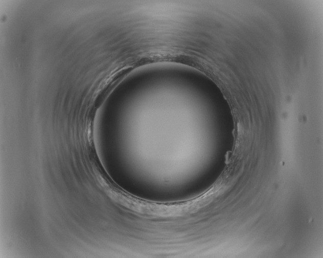 X0000073730048200608031340