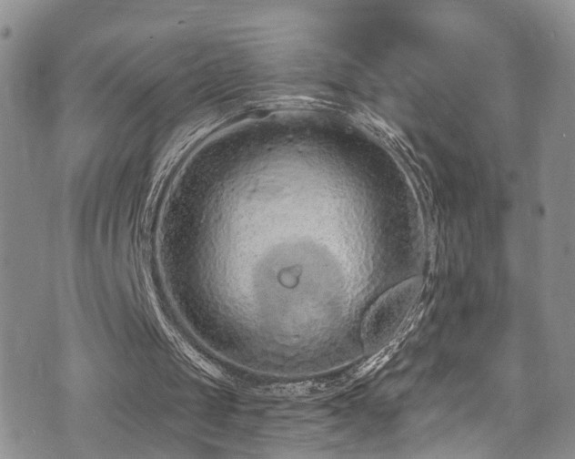 X0000073730049200608031340