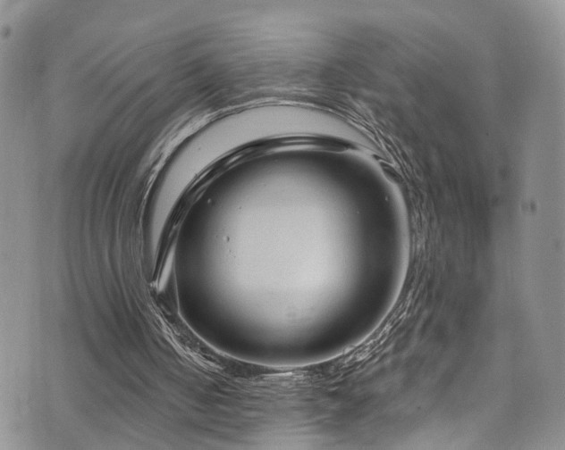 X0000073730050200608031340