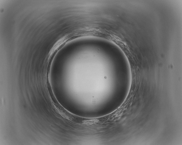 X0000073730051200608031340