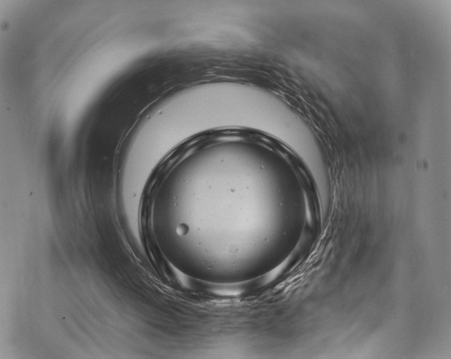 X0000073730052200608031340