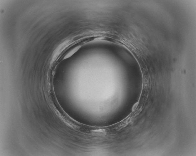 X0000073730053200608031340