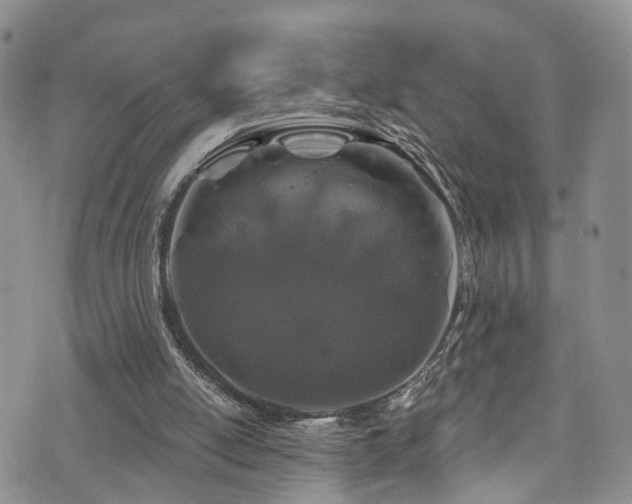 X0000073730054200608031340