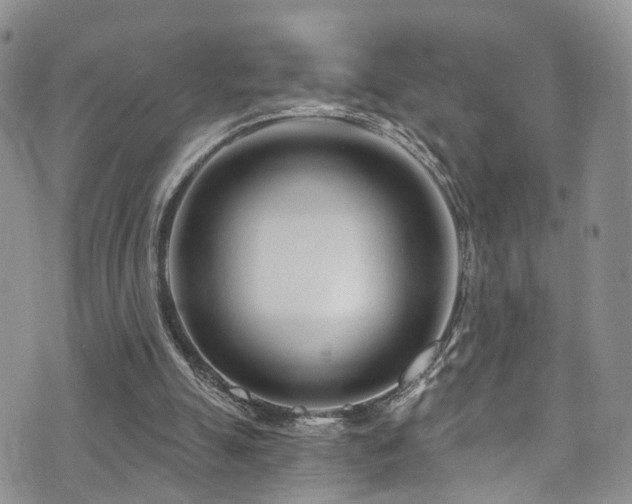 X0000073730055200608031340