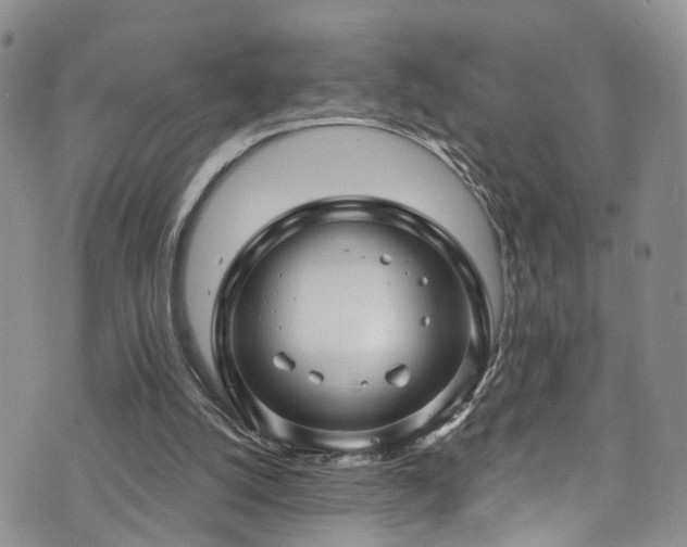 X0000073730056200608031340