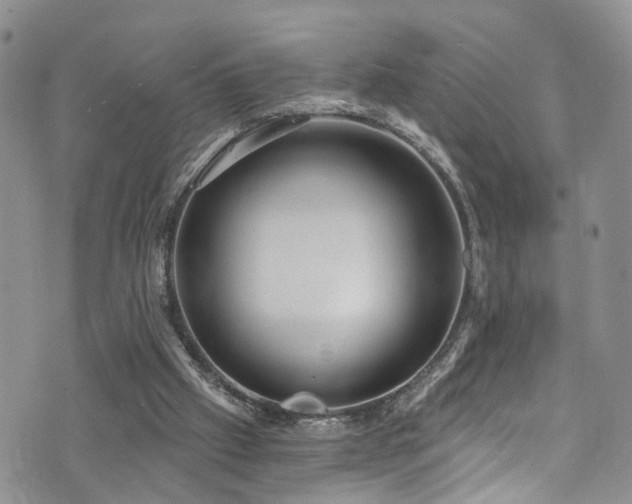 X0000073730057200608031340