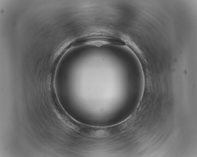 X0000073730058200608031340