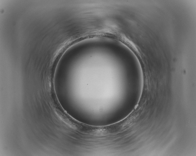 X0000073730059200608031340