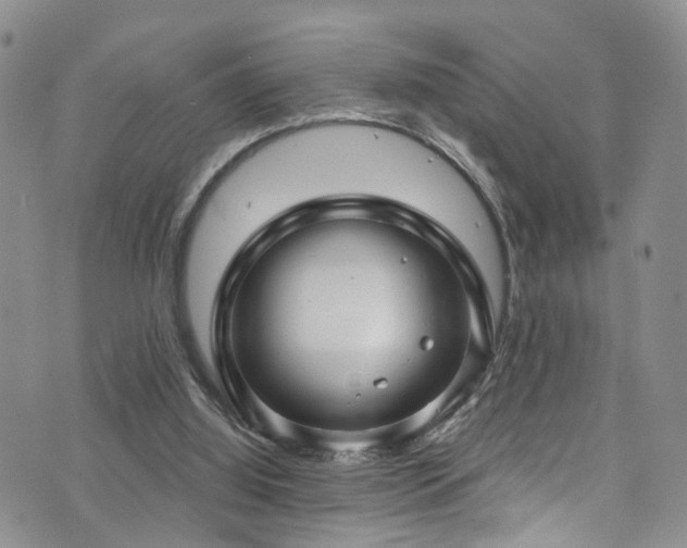 X0000073730060200608031340