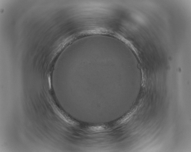 X0000073730061200608031340