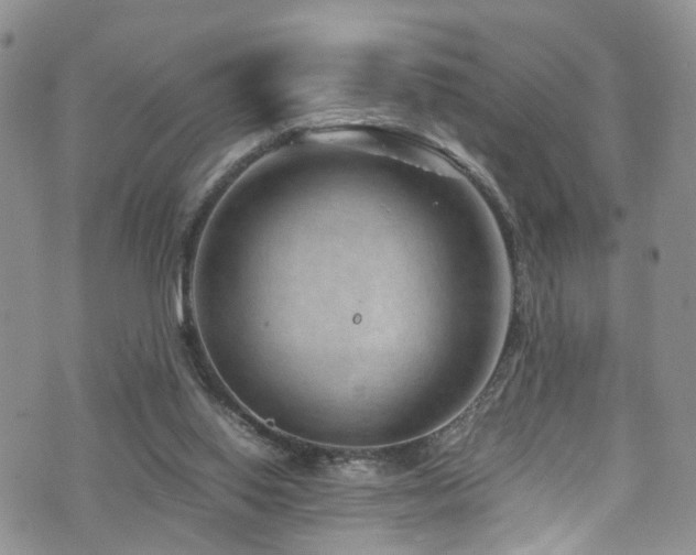 X0000073730062200608031340