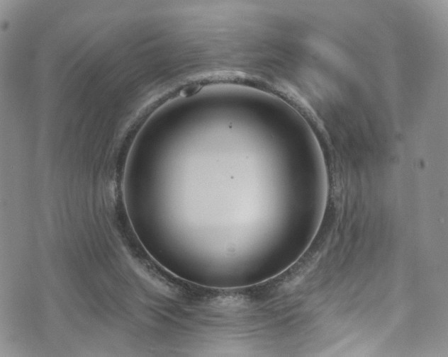 X0000073730063200608031340