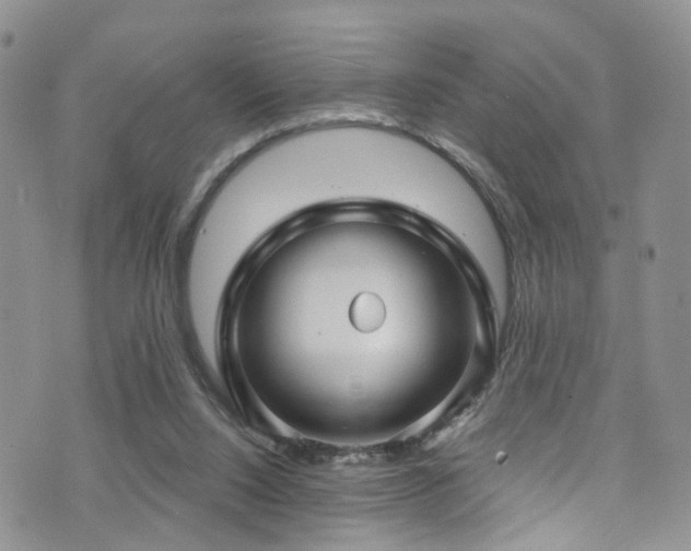 X0000073730064200608031340