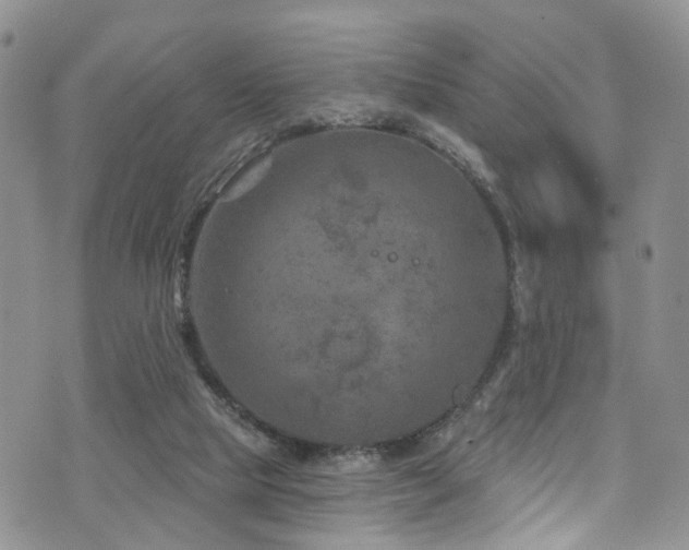 X0000073730065200608031340