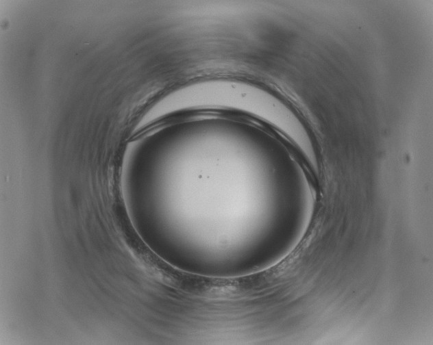 X0000073730066200608031340