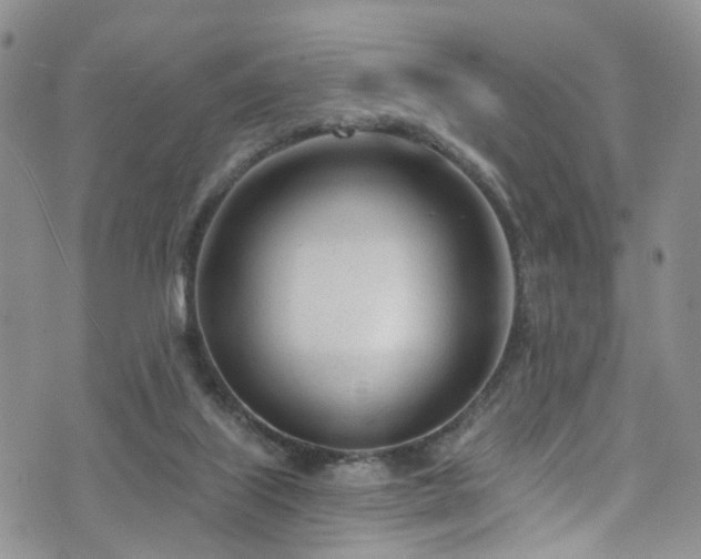 X0000073730067200608031340