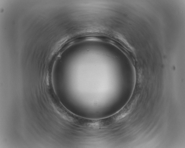 X0000073730068200608031340