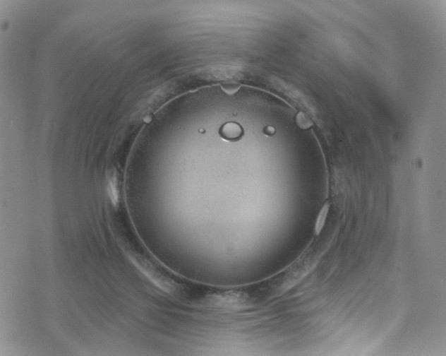 X0000073730069200608031340