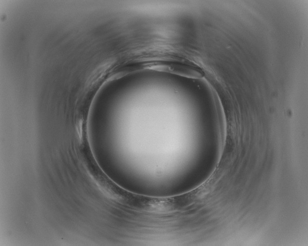 X0000073730070200608031340