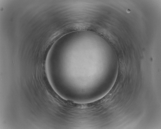 X0000073730071200608031340