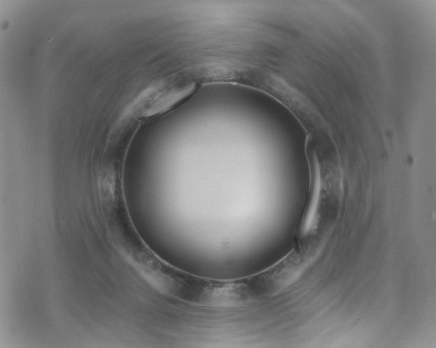 X0000073730072200608031340