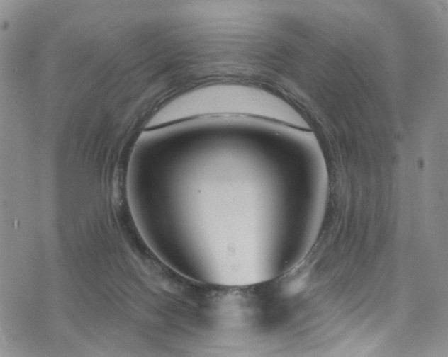 X0000073730074200608031340