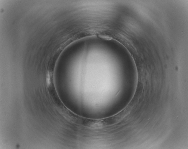 X0000073730075200608031340