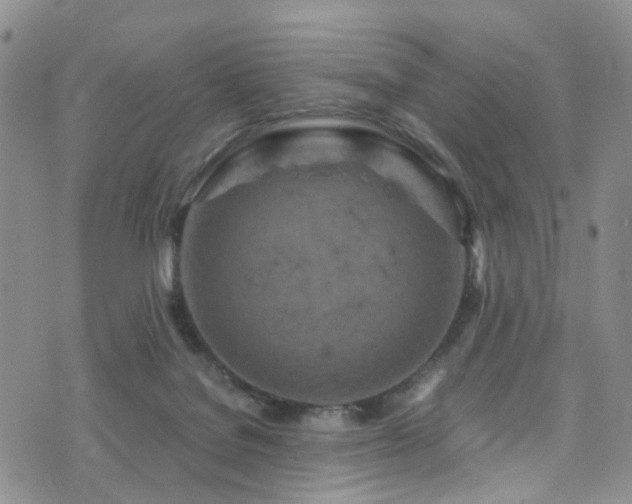 X0000073730076200608031340