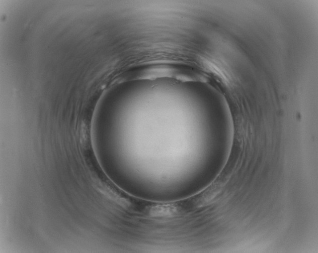 X0000073730077200608031340