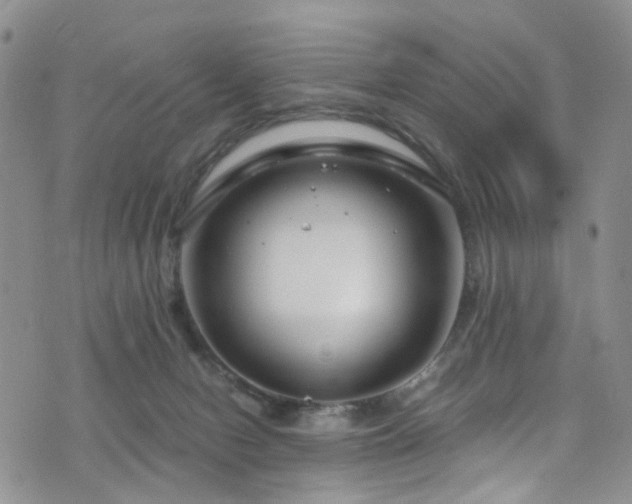 X0000073730078200608031340