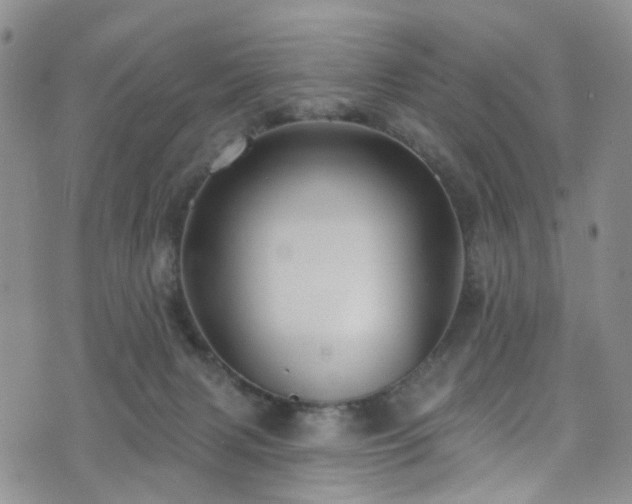 X0000073730079200608031340