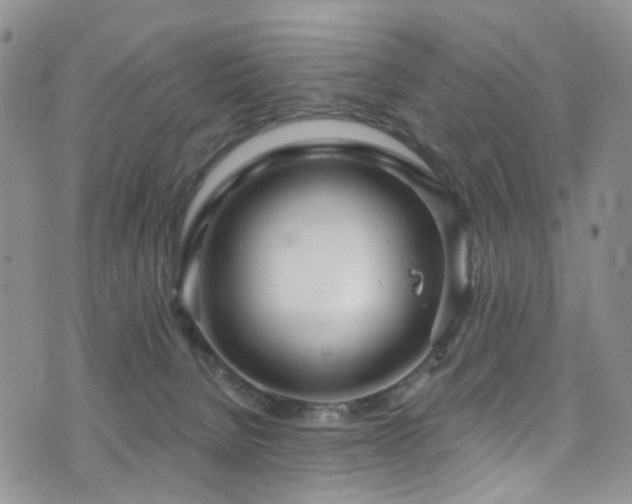 X0000073730080200608031340