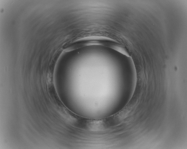 X0000073730081200608031340