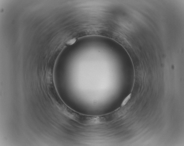 X0000073730083200608031340