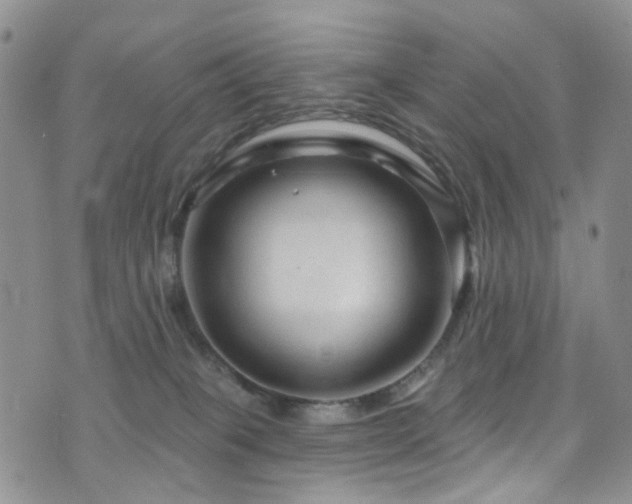 X0000073730085200608031340